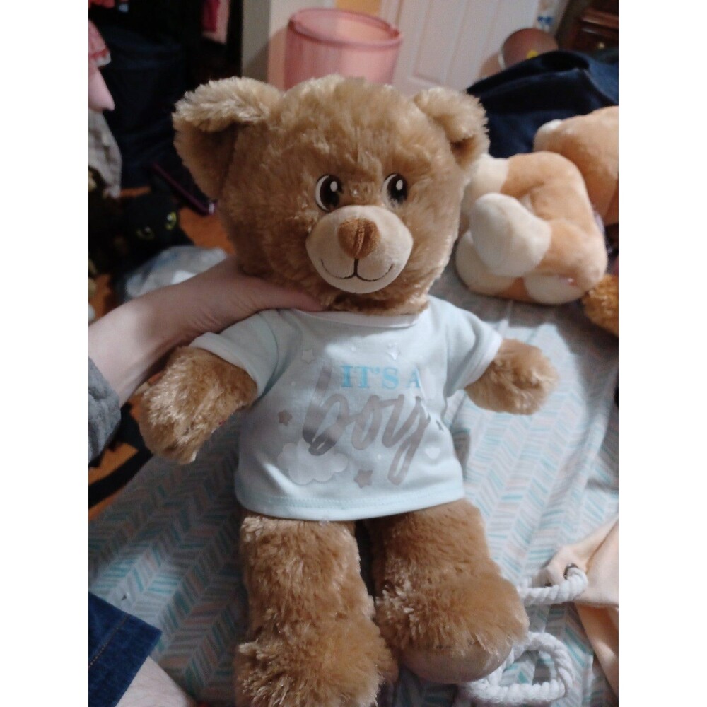 Build a Bear Lil brownie cub